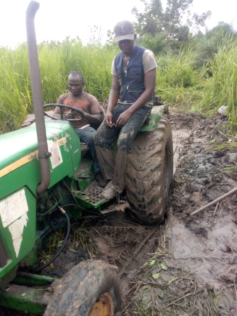 How Amara helped plant 12,000 trees in one dry season